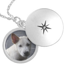 pet memory necklace