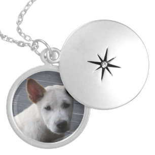 Pet Memorial Locket - Silver Plated