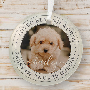 Pet Memorial Loved Beyond Words Elegant Chic Photo Glass Ornament
