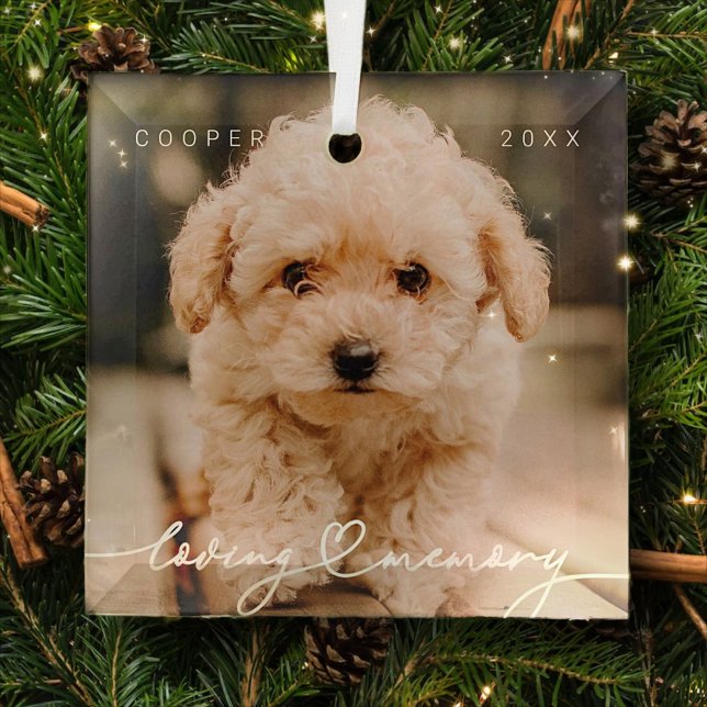 Pet Memorial Loving Memory Simple Modern Photo Glass Ornament (Creator Uploaded)