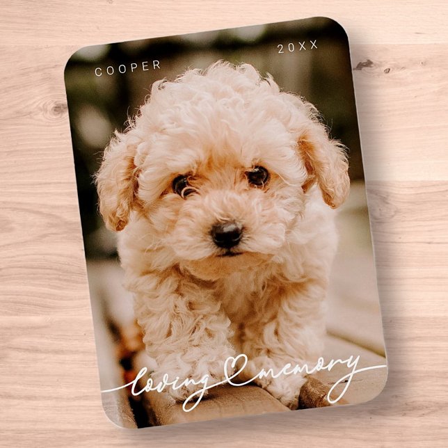 Pet Memorial Loving Memory Simple Modern Photo Magnet (Creator Uploaded)
