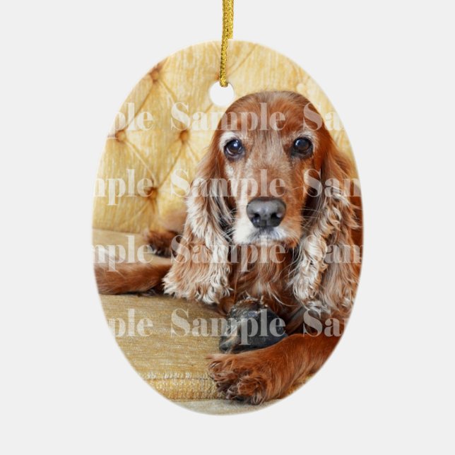 Pet memorial memory / PERSONALIZE photo Ceramic Ornament (Front)