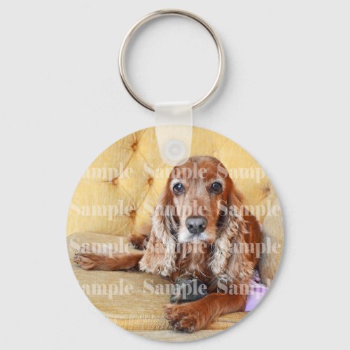 Pet memorial memory  PERSONALIZE photo Keychain