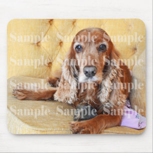 Pet memorial memory / PERSONALIZE photo Mouse Pad