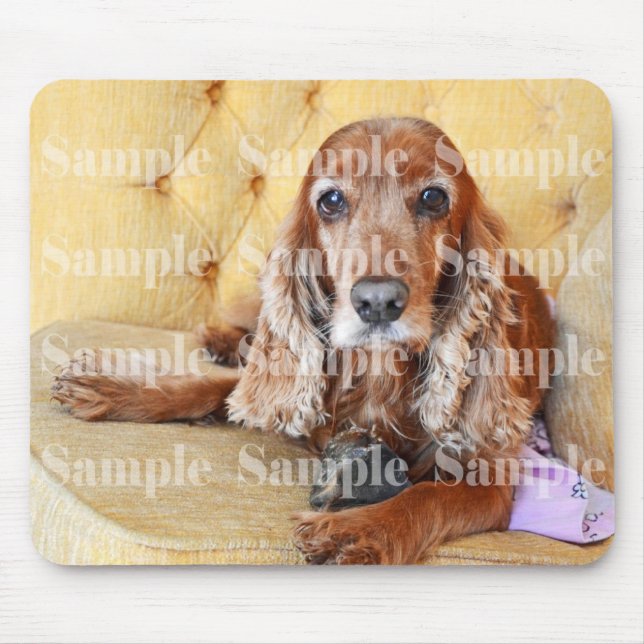 Pet memorial memory / PERSONALIZE photo Mouse Pad (Front)