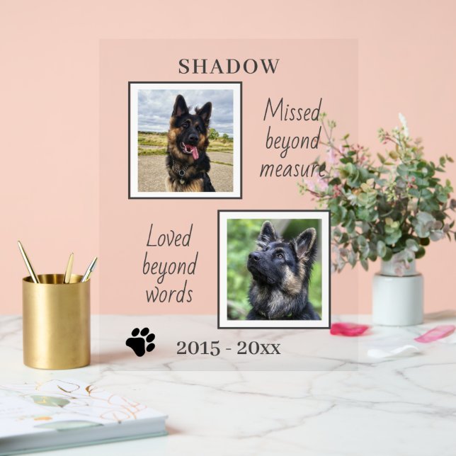 Pet Memorial Missed beyond Measure Photo Acrylic Sign (Wedding)