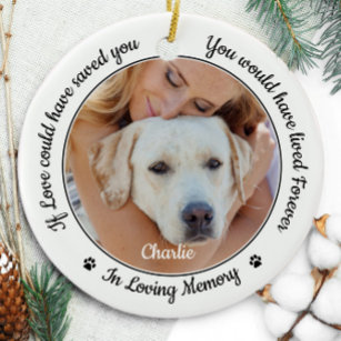 Bemaystar Personalized Pet Memorial Gifts Dog Memorial Gifts for Loss of  Dog Pet Loss Gifts in Memory of Dog Night Lights Custom Dog Memorial Plaque