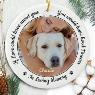 Pet Memorial Modern Dog 2 Photo Sympathy Ceramic Ornament