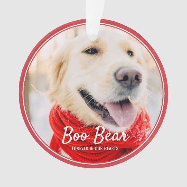 Pet Memorial Modern Frames Simple Photo Ornament (Front)