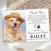 Pet Memorial Modern Photo Dog Loss Sympathy