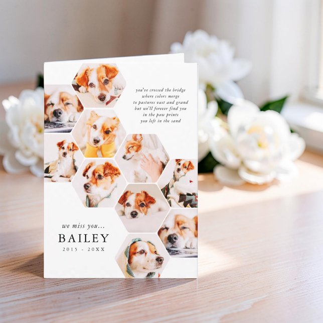 Pet Memorial Modern Simple 10 Photo Collage Card (Creator Uploaded)