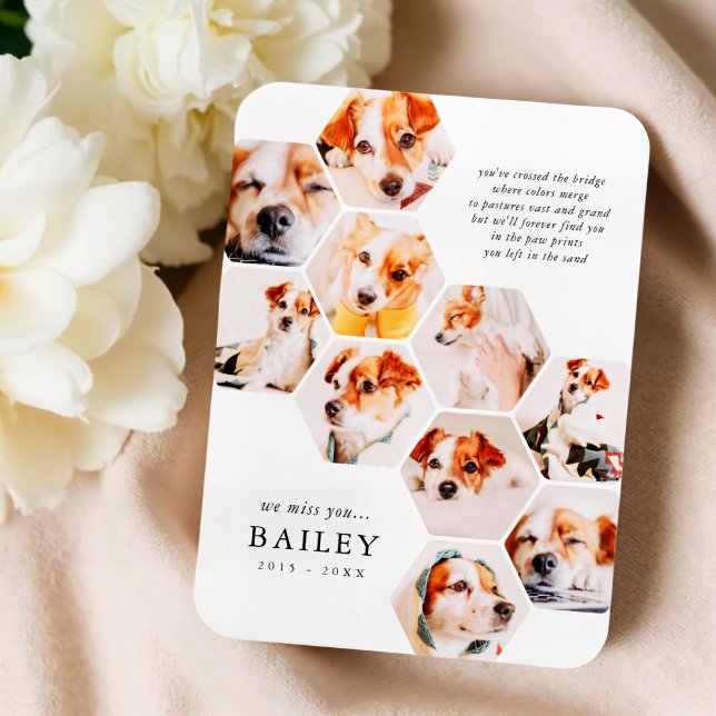 Pet Memorial Modern Simple 10 Photo Collage Card Magnet (Creator Uploaded)