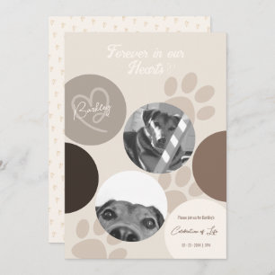 Pet Memorial Modern Simple Celebration of Life Announcement