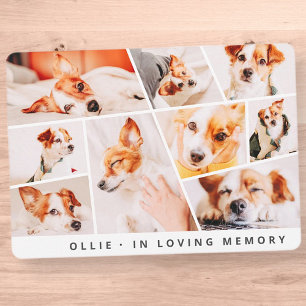 Pet Memorial Modern Simple Chic 9 Photos Collage