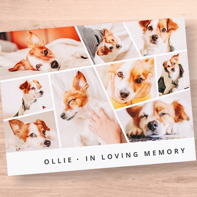 Pet Memorial Modern Simple Chic 9 Photos Collage Postcard (Creator Uploaded)