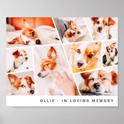 Pet Memorial Modern Simple Chic 9 Photos Collage Poster