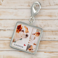 Pet Memorial Modern Simple Geometric Photo Collage