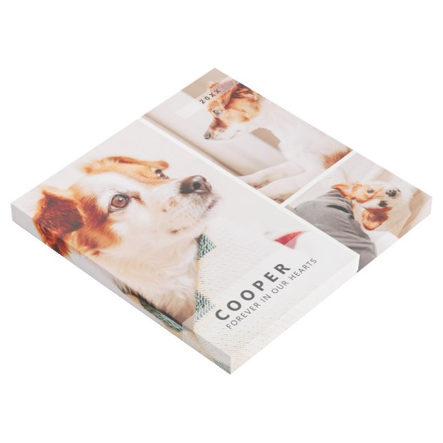 Pet Memorial Modern Simple Geometric Photo Collage Gallery Wrap (3/4)