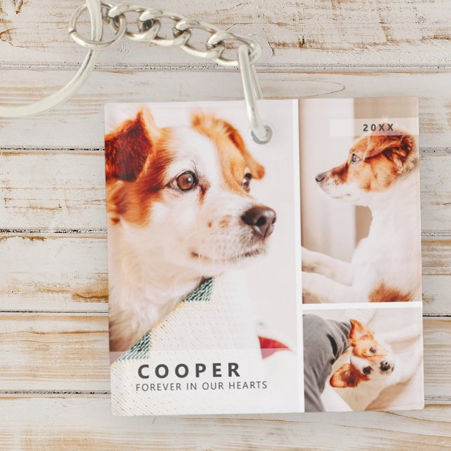 Pet Memorial Modern Simple Geometric Photo Collage Keychain (Creator Uploaded)