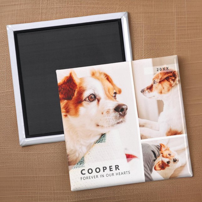 Pet Memorial Modern Simple Geometric Photo Collage Magnet (Creator Uploaded)