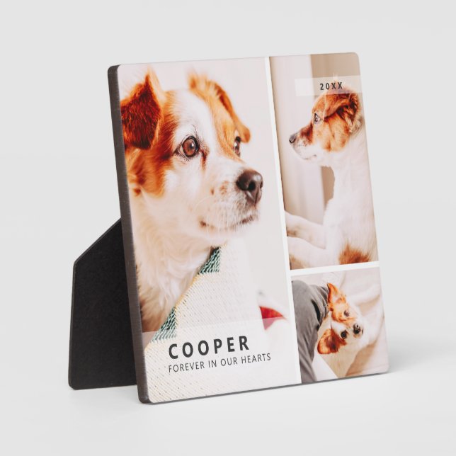 Pet Memorial Modern Simple Geometric Photo Collage Plaque (Front)