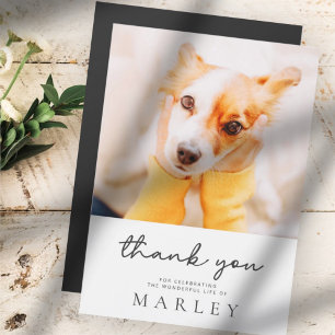 Pet Memorial Modern Simple Minimalist Chic Photo