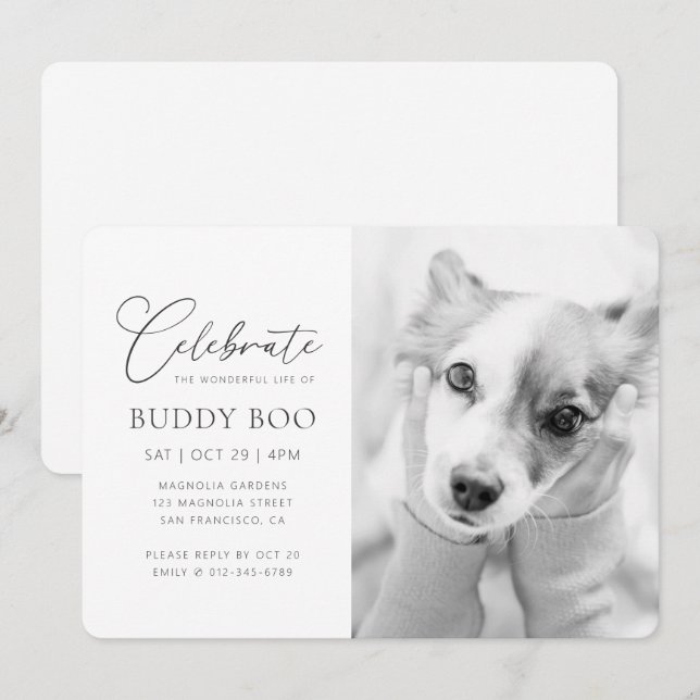 Pet Memorial Modern Simple Minimalist Chic Photo Invitation (Front/Back)