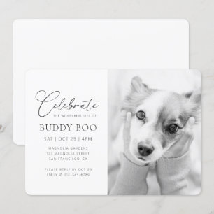 Pet Memorial Modern Simple Minimalist Chic Photo Invitation