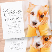 Pet Memorial Modern Simple Minimalist Chic Photo