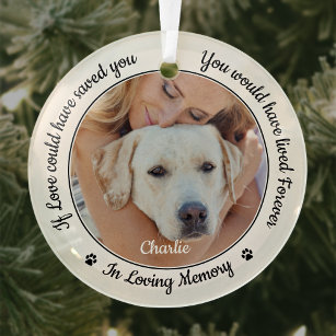Pet Memorial Modern Sympathy Keepsake Dog Photo Glass Ornament