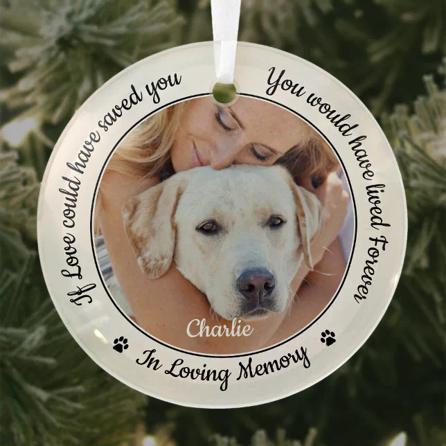 Pet Memorial Modern Sympathy Keepsake Dog Photo Glass Ornament | Zazzle