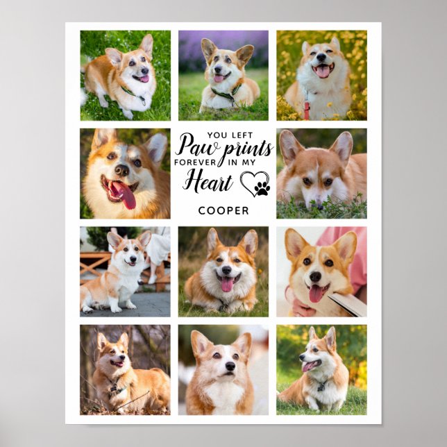 Pet Memorial Paw Prints Personalized 11 Photo  (Front)
