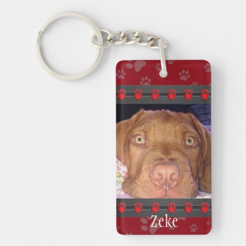 Pet Memorial _ Paw Prints _ Pet Loss Keychain