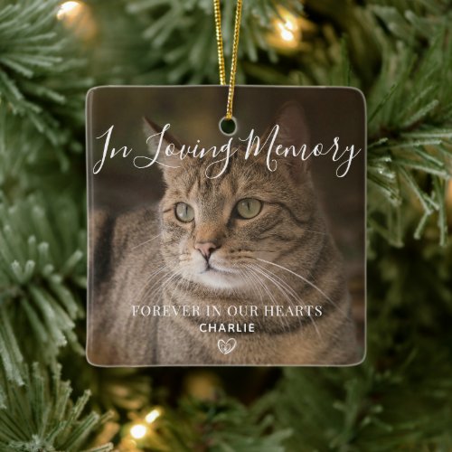 Pet Memorial Personalized Cat Photo