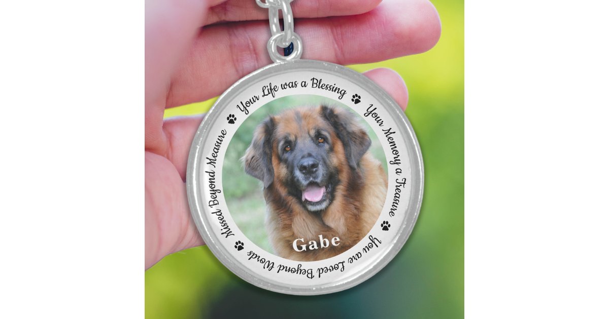 Pet Memorial Personalized Dog Photo Paw Prints Sterling Silver Necklace ...