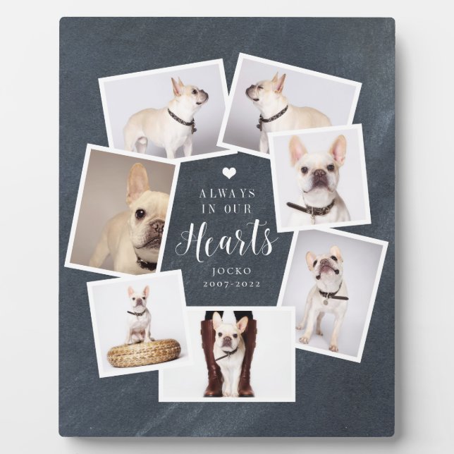 Pet Memorial Personalized Multi Photo Collage Plaque (Front)