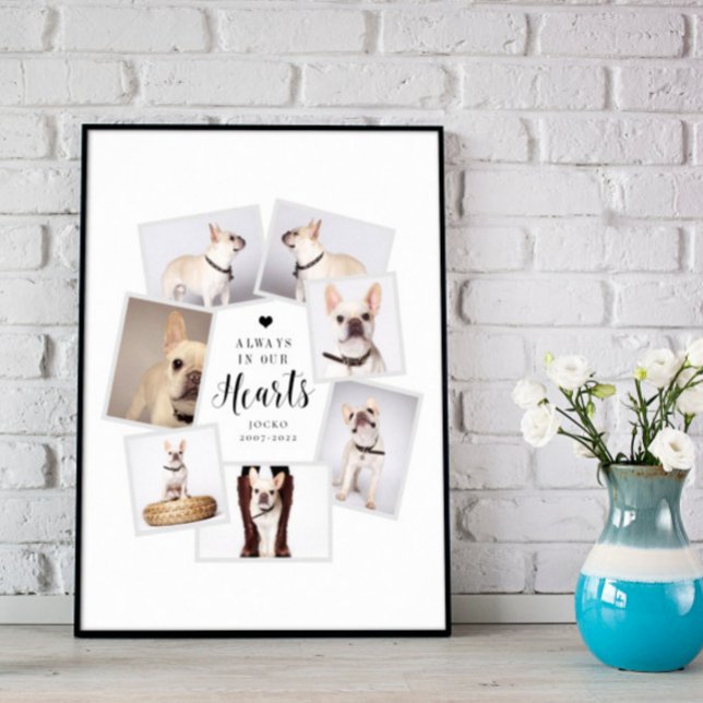 Pet Memorial Personalized Multi Photo Collage Poster (Creator Uploaded)