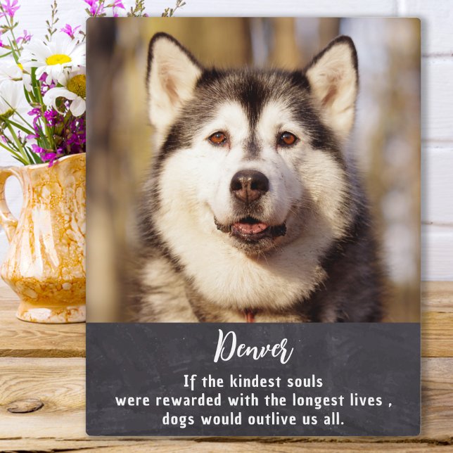 Pet Memorial Personalized Picture Dog Lover  Plaque (Creator Uploaded)