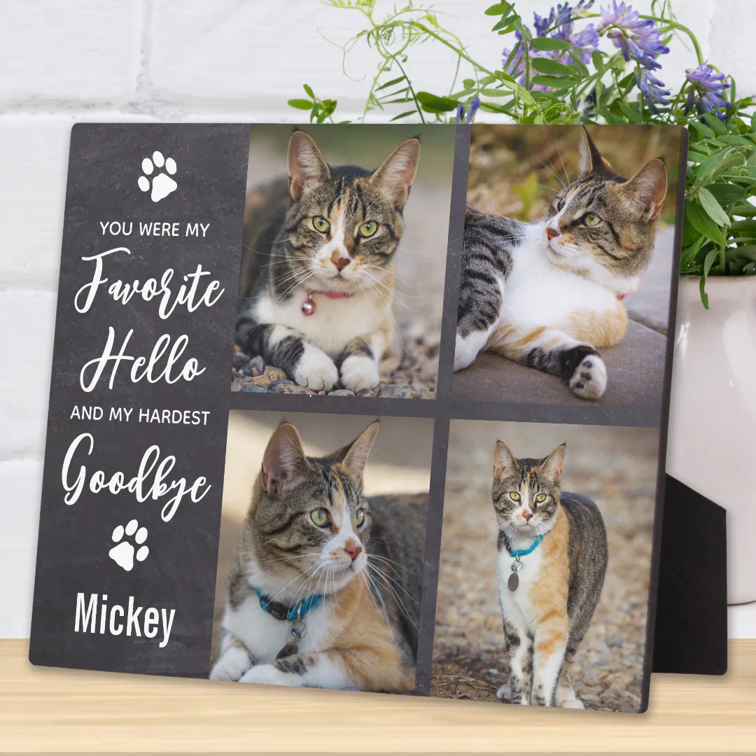 Pet Memorial Pet Loss Gift Cat Photo Collage Plaque (Creator Uploaded)