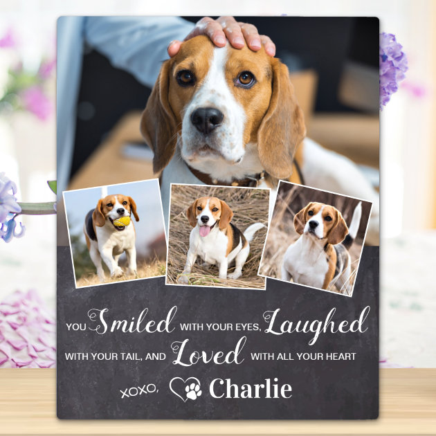 Pet Memorial Pet Loss Gift Personalized 4 Photo Plaque Zazzle   Pet Memorial Pet Loss Gift Personalized 4 Photo Plaque R 5w6yw 630 