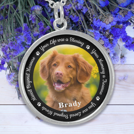 Pet Memorial Pet Loss Gift Remembrance Dog Photo Sterling Silver Neckl
