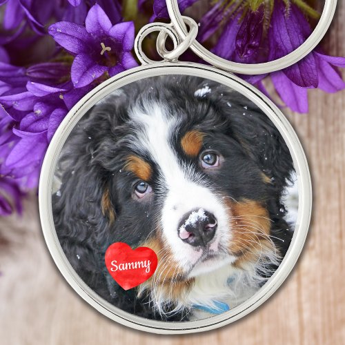 Pet Memorial Pet Loss Gift Sympathy Dog Photo Keychain