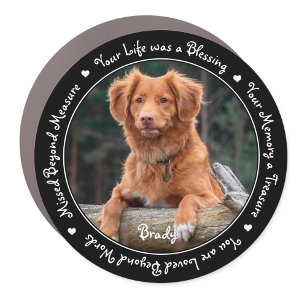 Pet Memorial Pet Loss Keepsake Dog Photo Car Magnet