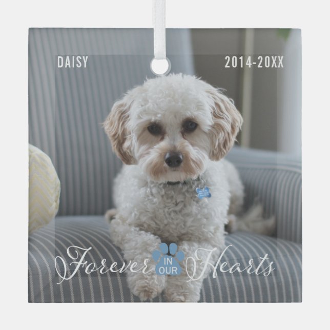 Pet Memorial Pet Loss Keepsake Photo and Name  Glass Ornament (Front)