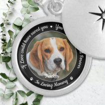 Pet Memorial Pet Loss Keepsake Sympathy Photo Locket Necklace