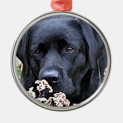 Pet Memorial Pet Loss Personalize Family Dog Photo Metal Ornament