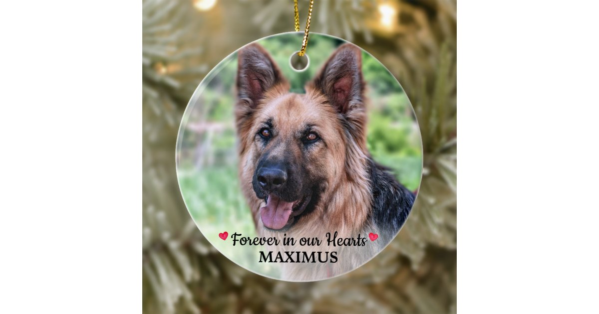 Pet Memorial Pet Loss Personalized Dog Photo Ceramic Ornament | Zazzle