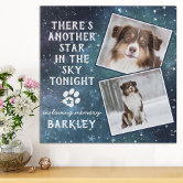 Pet Memorial Rainbow Bridge Photo Poster