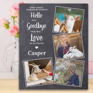 Pet Memorial Pet Loss Sympathy Keepsake 4 Photo Plaque