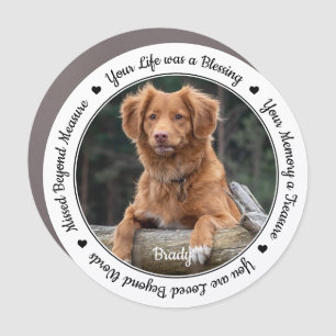 Pet Memorial Pet Loss Sympathy Keepsake Photo Car Magnet